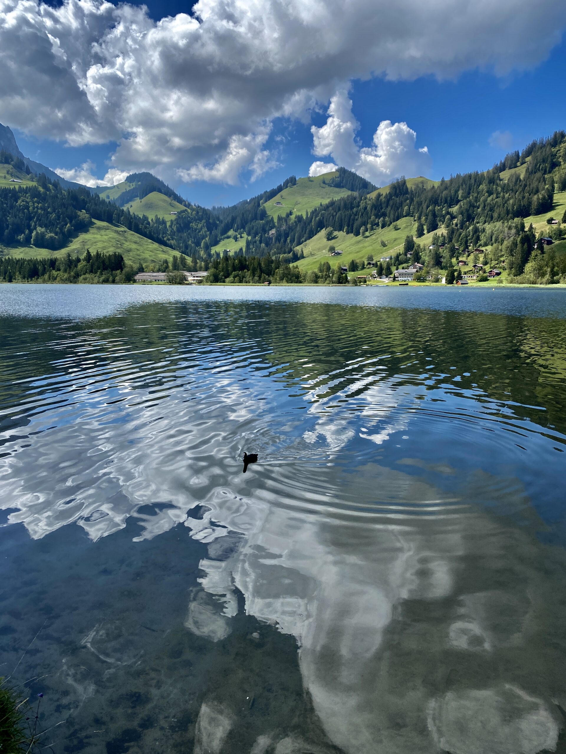 Schwarzsee – Lac Noir : un magnifique week-end lacustre (FR)